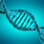 Таргетные генетические тесты: раскрывая тайны ДНК
